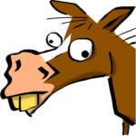 Profile photo of yourhorse