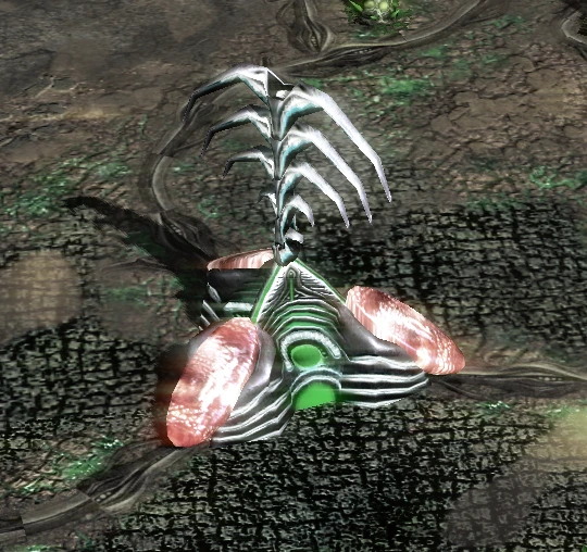 Life Form Plant