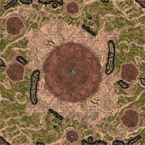 tournament highlands 1