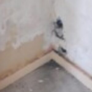 Profile photo of redi