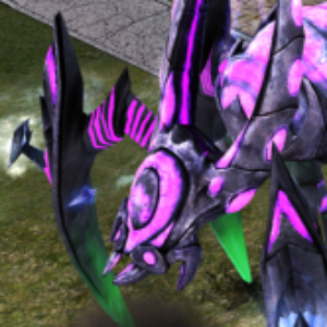 Profile photo of kane