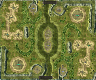 Custom maps 45 The Swamp Eight