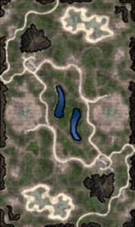 Custom maps 48 Forest Arena (v3)