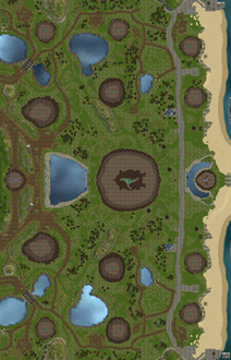 Brazilian Jungle